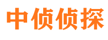 会东市私家侦探